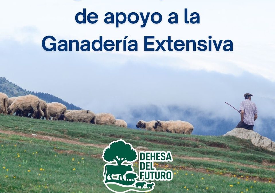 BUENA NOTICIA PARA LA DEHESA: La próxima PAC incluirá un plan específico de apoyo para la Ganadería Extensiva